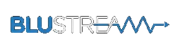 BlustreamBiz